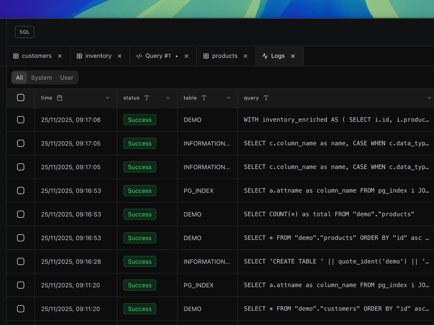 Full Database Activity Logs